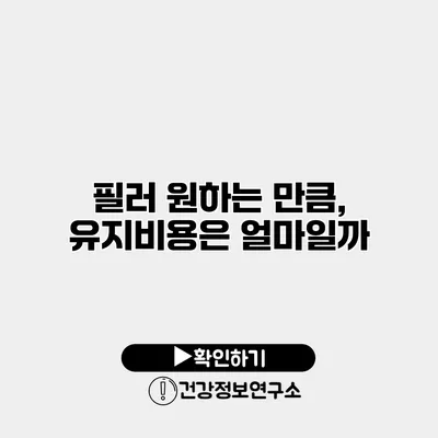 필러 원하는 만큼, 유지비용은 얼마일까?