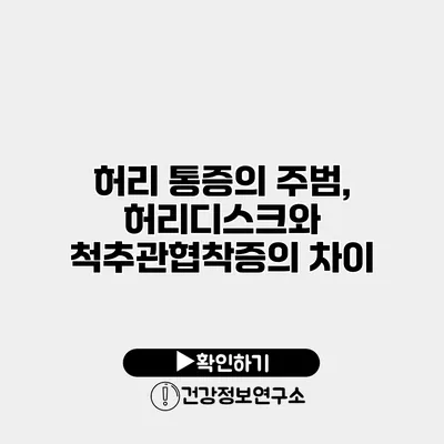 허리 통증의 주범, 허리디스크와 척추관협착증의 차이