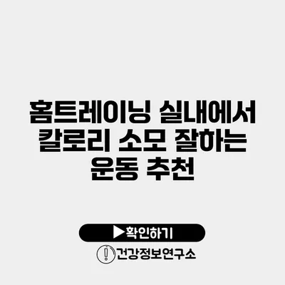 홈트레이닝 실내에서 칼로리 소모 잘하는 운동 추천