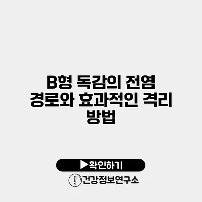 B형 독감의 전염 경로와 효과적인 격리 방법