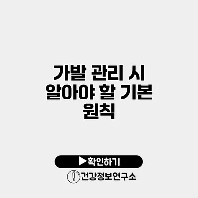 가발 관리 시 알아야 할 기본 원칙