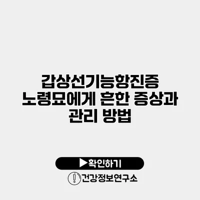 갑상선기능항진증 노령묘에게 흔한 증상과 관리 방법