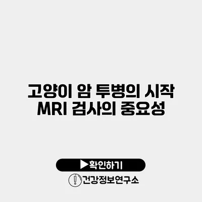 고양이 암 투병의 시작 MRI 검사의 중요성