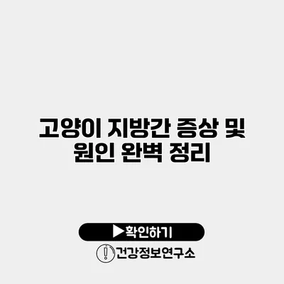 고양이 지방간 증상 및 원인 완벽 정리