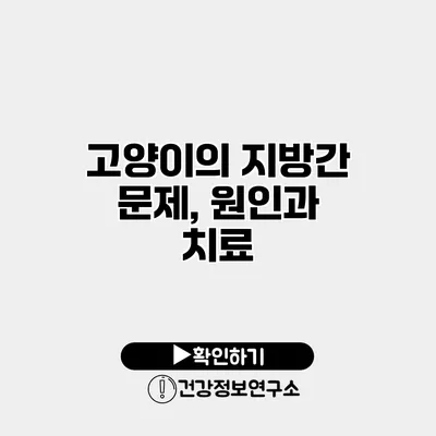 고양이의 지방간 문제, 원인과 치료