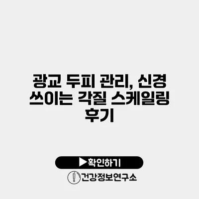 광교 두피 관리, 신경 쓰이는 각질 스케일링 후기