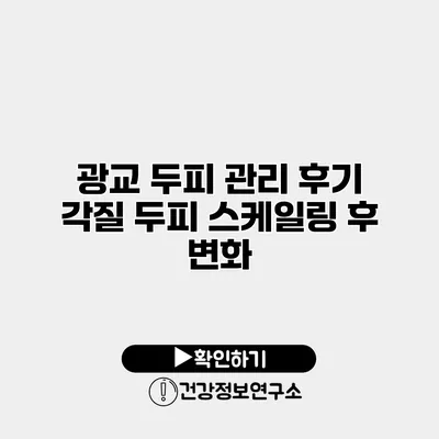 광교 두피 관리 후기 각질 두피 스케일링 후 변화