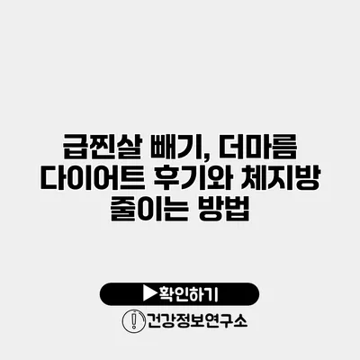 급찐살 빼기, 더마름 다이어트 후기와 체지방 줄이는 방법