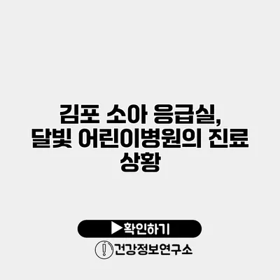 김포 소아 응급실, 달빛 어린이병원의 진료 상황