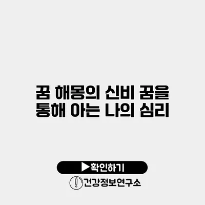 꿈 해몽의 신비 꿈을 통해 아는 나의 심리