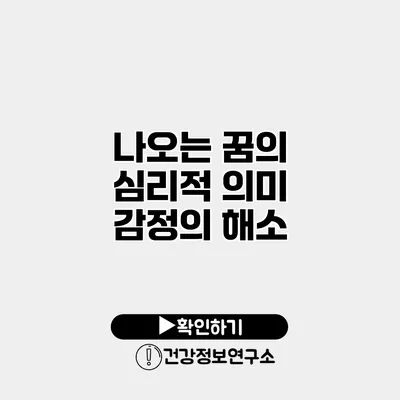 나오는 꿈의 심리적 의미 감정의 해소