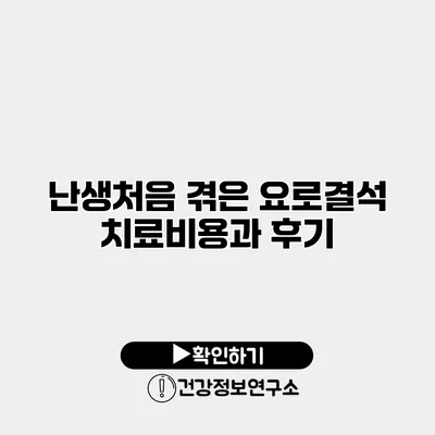 난생처음 겪은 요로결석 치료비용과 후기