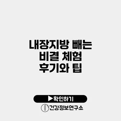 내장지방 빼는 비결 체험 후기와 팁