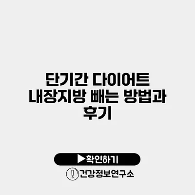 단기간 다이어트 내장지방 빼는 방법과 후기