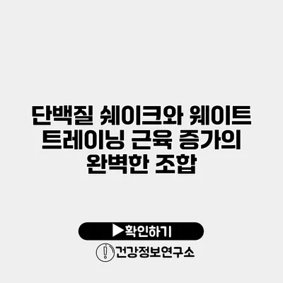 단백질 쉐이크와 웨이트 트레이닝 근육 증가의 완벽한 조합