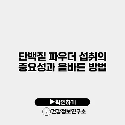 단백질 파우더 섭취의 중요성과 올바른 방법