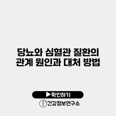 당뇨와 심혈관 질환의 관계 원인과 대처 방법
