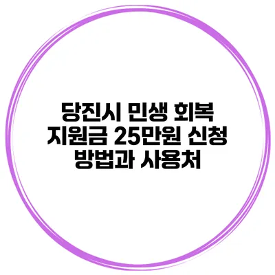 당진시 민생 회복 지원금 25만원 신청 방법과 사용처