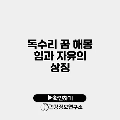 독수리 꿈 해몽 힘과 자유의 상징