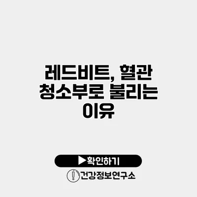 레드비트, 혈관 청소부로 불리는 이유