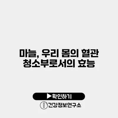 마늘, 우리 몸의 혈관 청소부로서의 효능