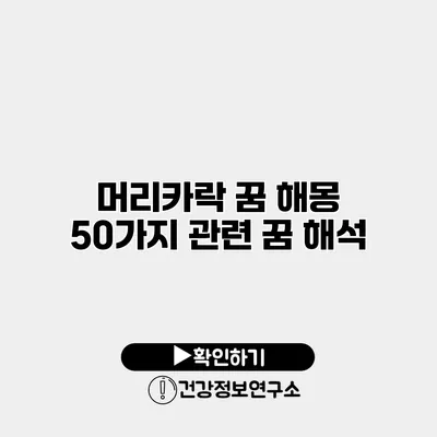 머리카락 꿈 해몽 50가지 관련 꿈 해석