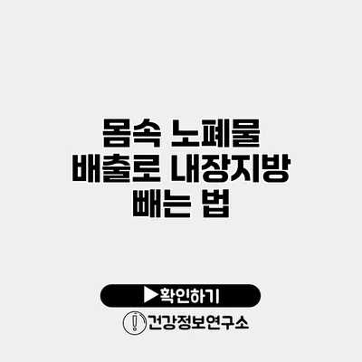 몸속 노폐물 배출로 내장지방 빼는 법