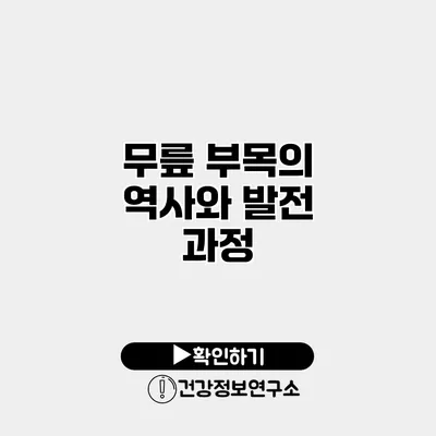 무릎 부목의 역사와 발전 과정