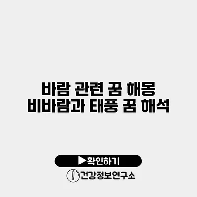 바람 관련 꿈 해몽 비바람과 태풍 꿈 해석