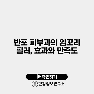 반포 피부과의 입꼬리 필러, 효과와 만족도