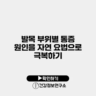 발목 부위별 통증 원인을 자연 요법으로 극복하기