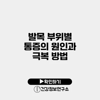 발목 부위별 통증의 원인과 극복 방법