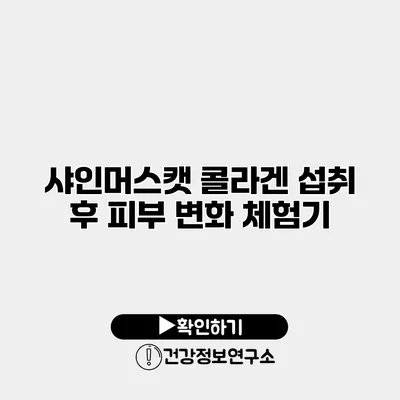 샤인머스캣 콜라겐 섭취 후 피부 변화 체험기