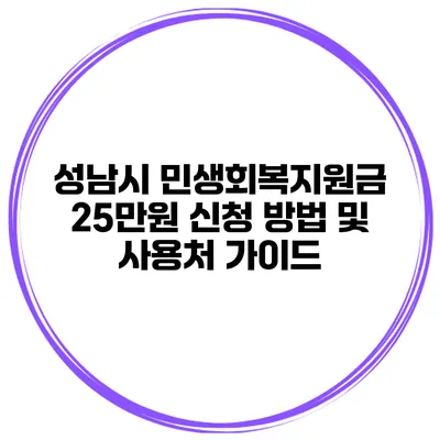 성남시 민생회복지원금 25만원 신청 방법 및 사용처 가이드
