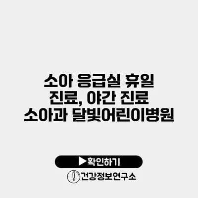 소아 응급실 휴일 진료, 야간 진료 소아과 달빛어린이병원