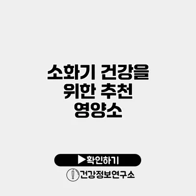 소화기 건강을 위한 추천 영양소