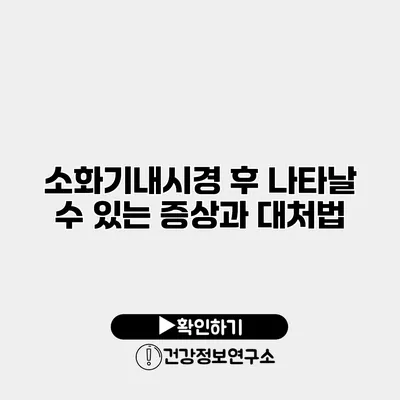 소화기내시경 후 나타날 수 있는 증상과 대처법