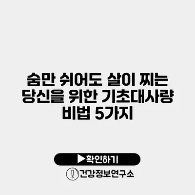 숨만 쉬어도 살이 찌는 당신을 위한 기초대사량 비법 5가지