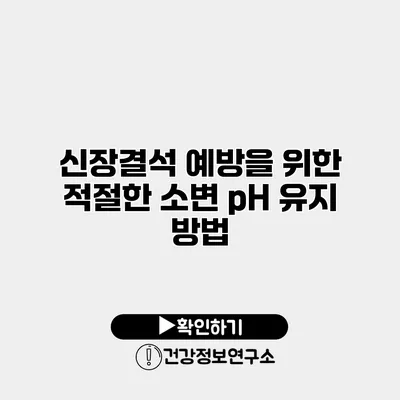 신장결석 예방을 위한 적절한 소변 pH 유지 방법