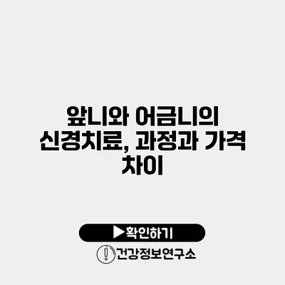 앞니와 어금니의 신경치료, 과정과 가격 차이