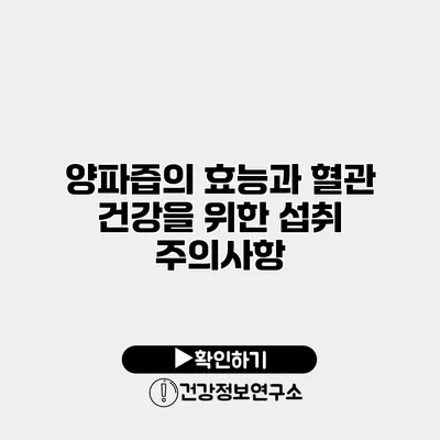 양파즙의 효능과 혈관 건강을 위한 섭취 주의사항