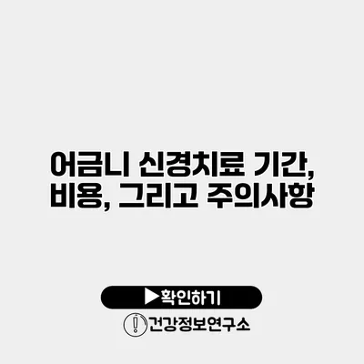 어금니 신경치료 기간, 비용, 그리고 주의사항