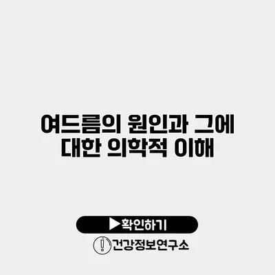 여드름의 원인과 그에 대한 의학적 이해