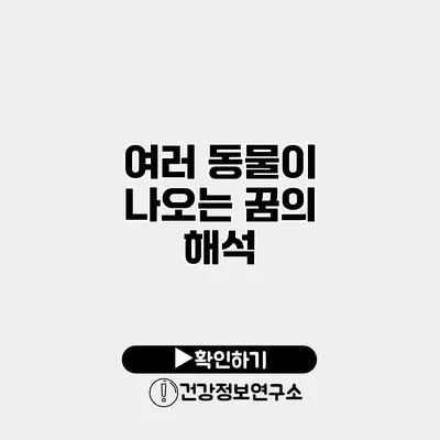 여러 동물이 나오는 꿈의 해석