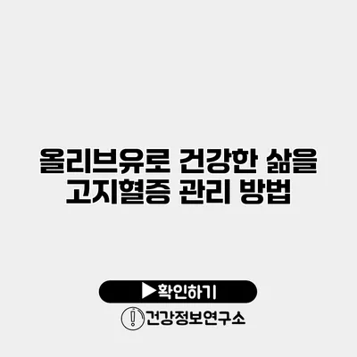 올리브유로 건강한 삶을 고지혈증 관리 방법
