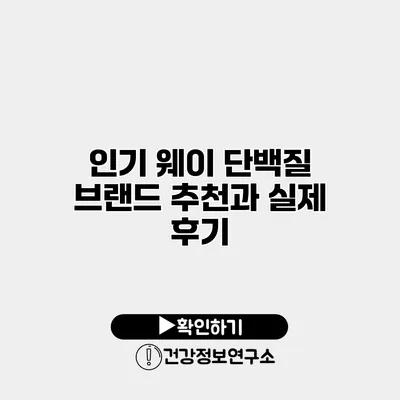 인기 웨이 단백질 브랜드 추천과 실제 후기