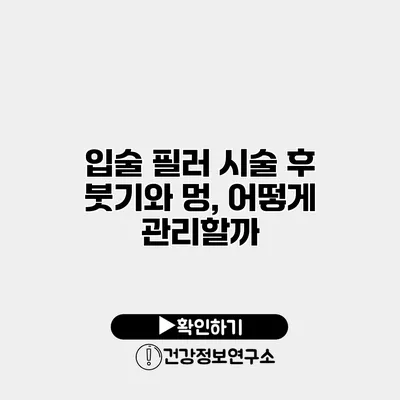 입술 필러 시술 후 붓기와 멍, 어떻게 관리할까?
