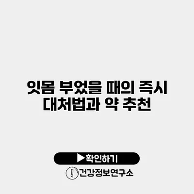 잇몸 부었을 때의 즉시 대처법과 약 추천