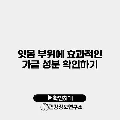 잇몸 부위에 효과적인 가글 성분 확인하기