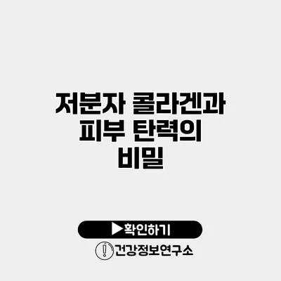 저분자 콜라겐과 피부 탄력의 비밀